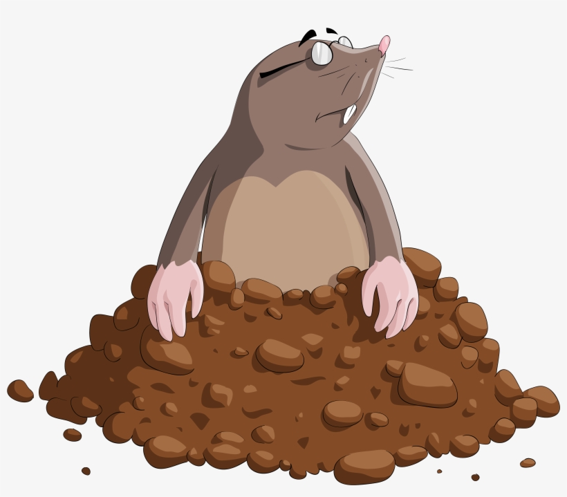 Mole Cartoon Png Clipart Image - Mole Clipart, transparent png