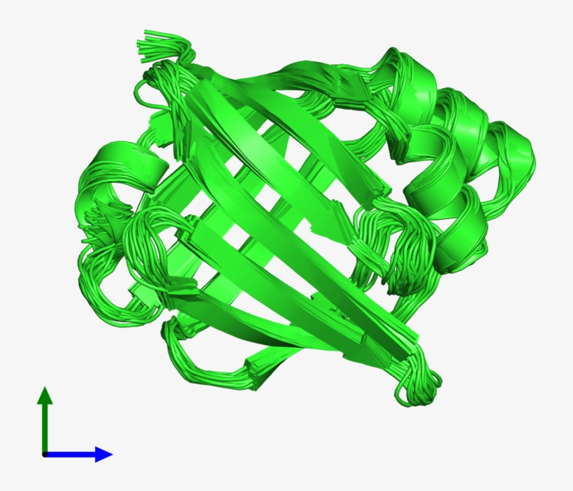 Pdb 1jjj Coloured By Chain And Viewed From The Front - Illustration, transparent png