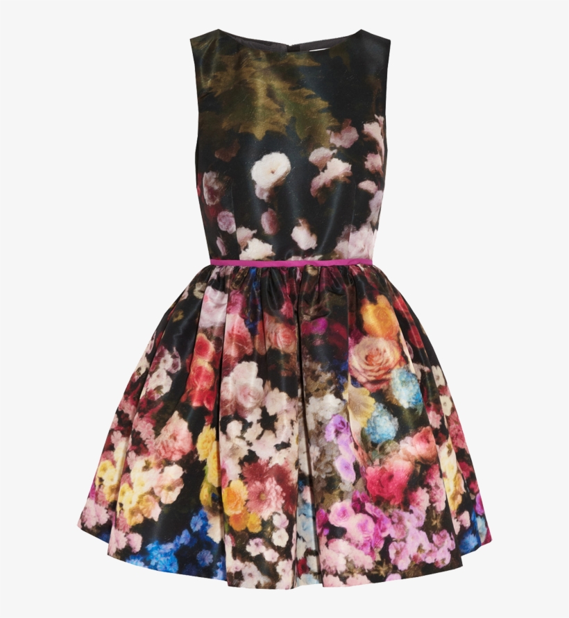 Red Valentino Floral Print Taffeta Dress - Ariana Grande Thanksgiving Outfits, transparent png