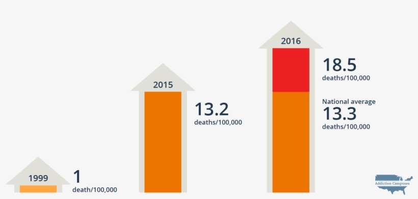Com Michigan Opioid Related Deaths - Addiction Campuses, transparent png