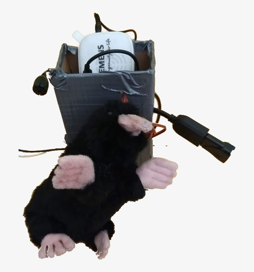 Mole Project - Fur, transparent png