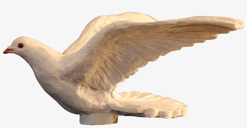 Paloma De La Paz - Stock Dove, transparent png