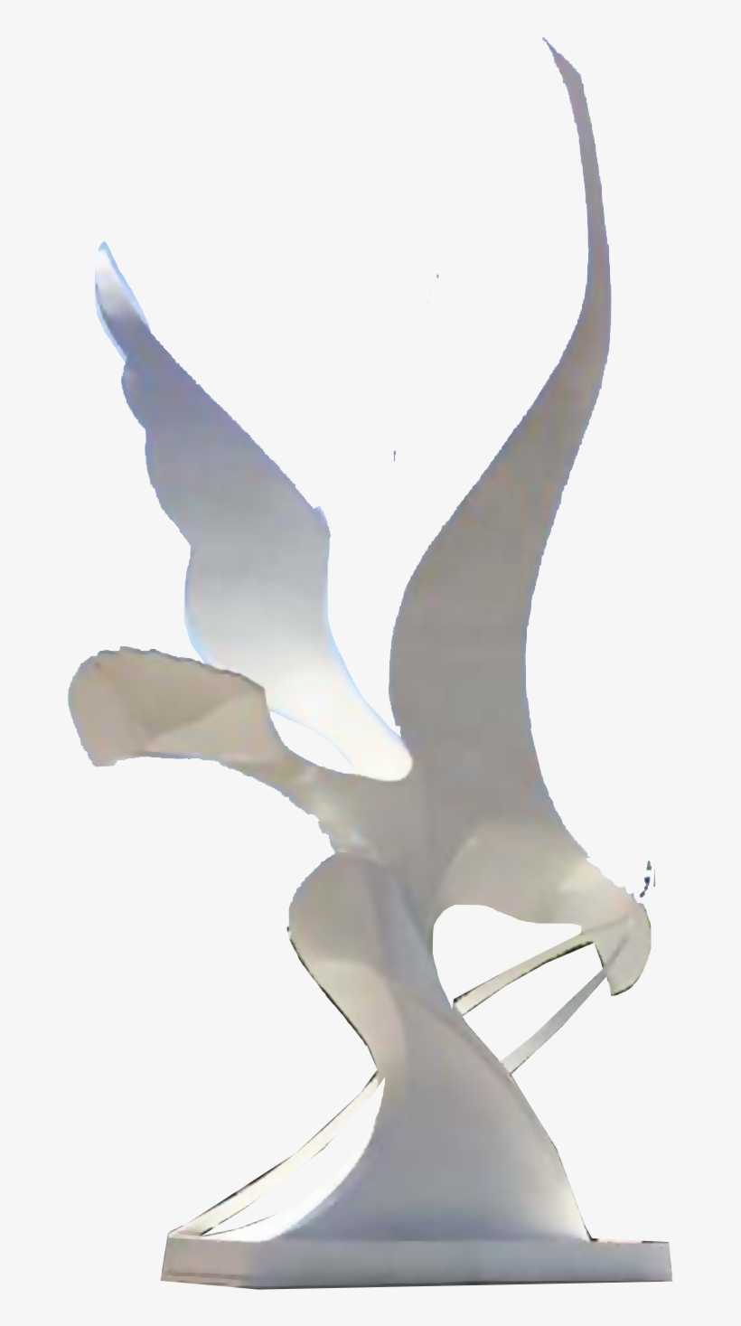 Paloma De La Paz - Buzzard, transparent png