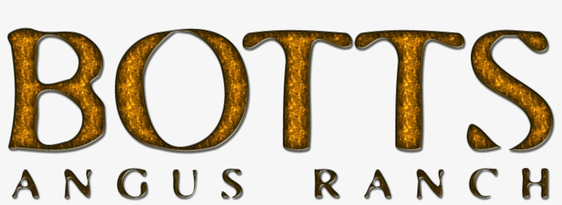 Related - Number, transparent png