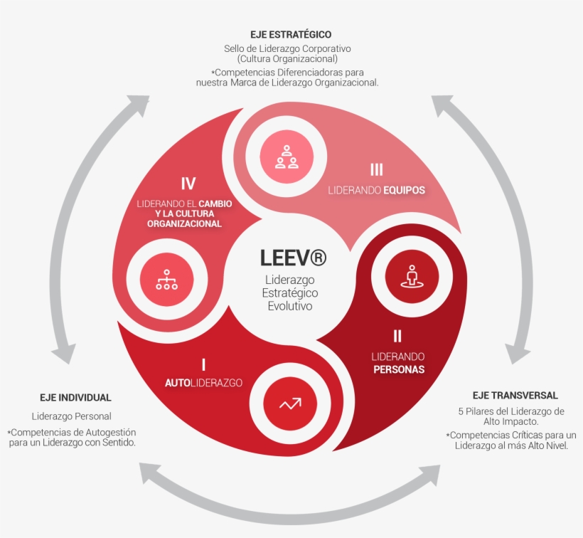 Leev® Constituye Un Modelo De Desarrollo Basado En - Circle, transparent png