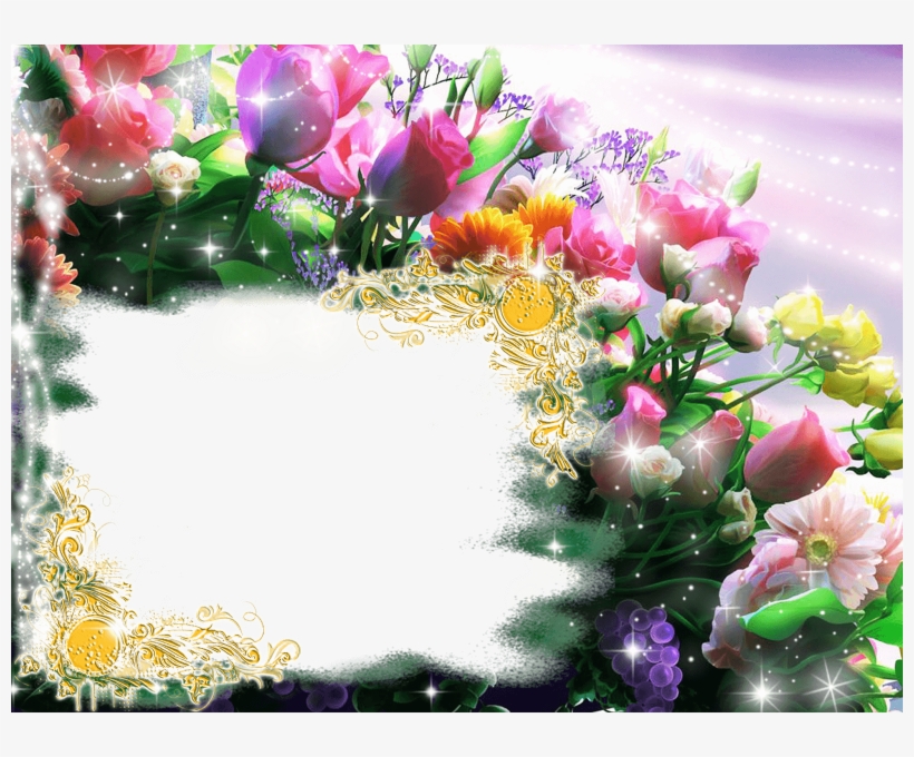Moldura Para Fotos Flores - Kagaya, transparent png