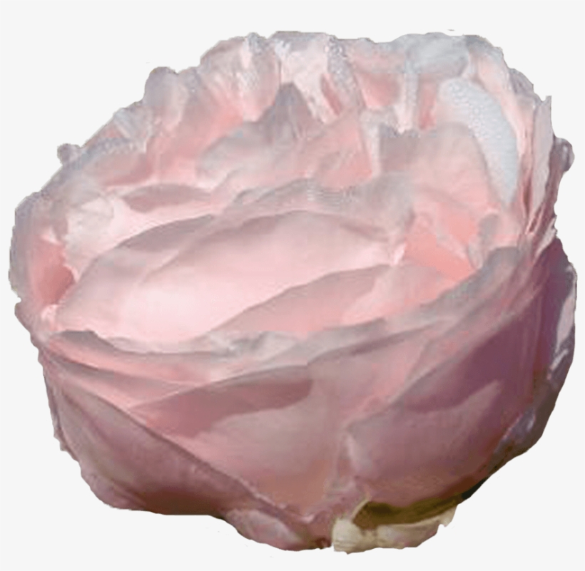 Garden Roses, transparent png