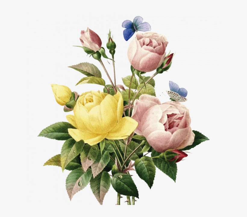 Poster Lindas Flores - Vintage Flower Illustration, transparent png