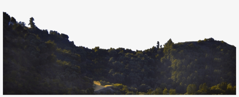 Homehero-foreground - Foreground Png, transparent png