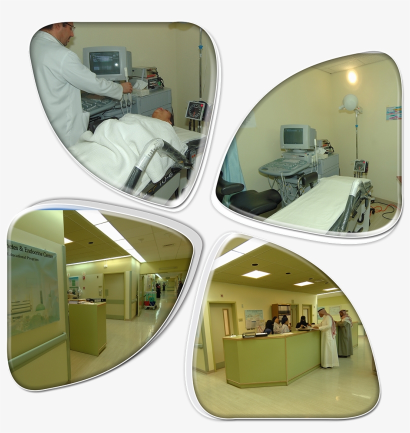 The Obesity, Endocrine, And Metabolism Center Was Established - Rear-view Mirror, transparent png