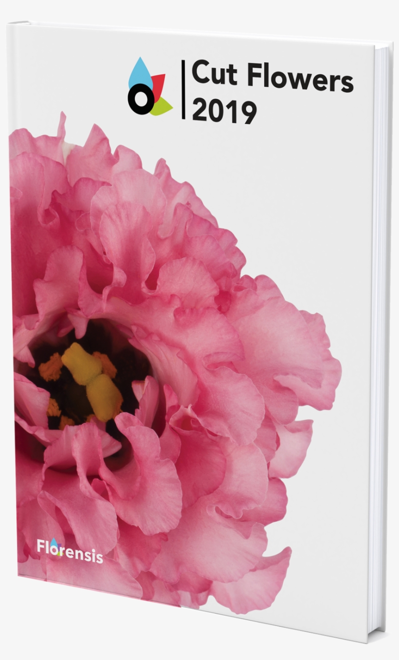 Catalogue, transparent png