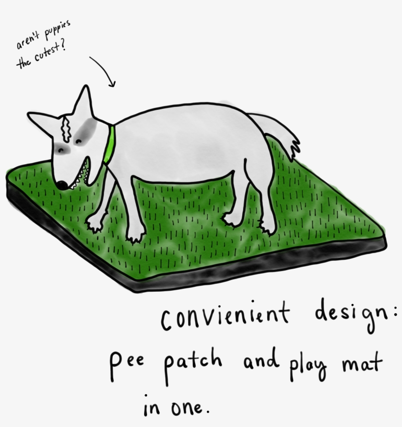 Stepping In Poop At 4am And Other Thoughts On Potty, transparent png