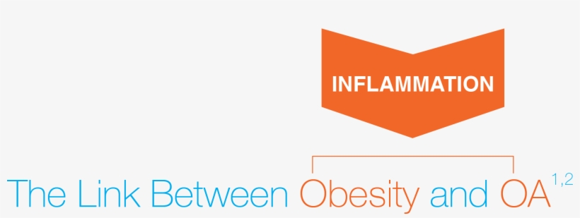 Obesity And Oa Graphic - Graphic Design, transparent png