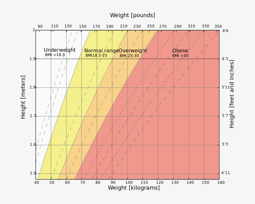 A Study, Published In The Annals Of Internal Medicine, - Bmi Graph, transparent png