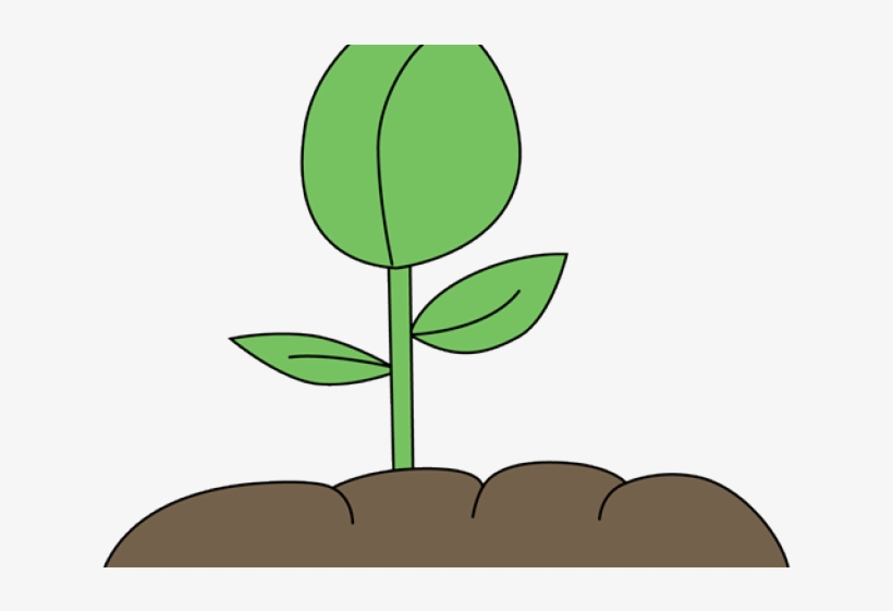 Graphic Tree Free Download Clip Art Carwad, transparent png