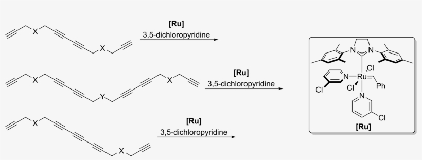 Rufh, Alexandre Y - Diagram, transparent png