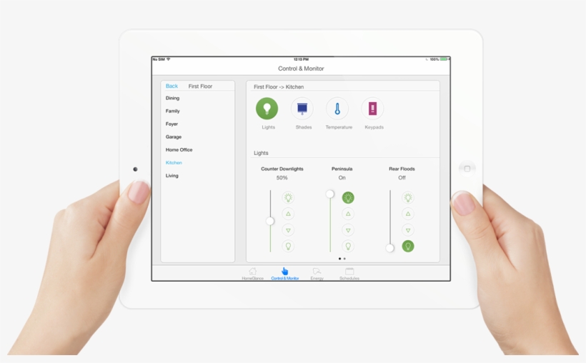 Slide 1 Lutron - Lutron Ipad, transparent png