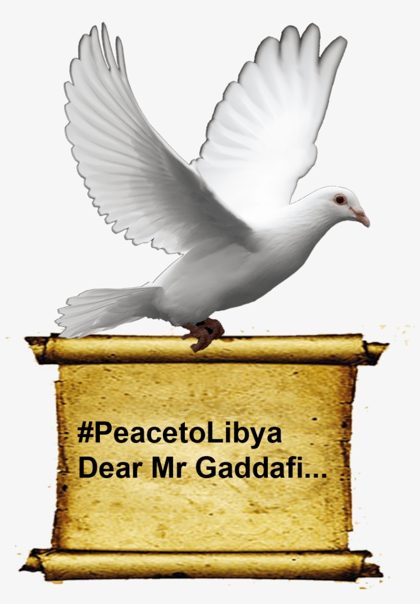Dove Carrying Scroll - Dove Of Peace, transparent png