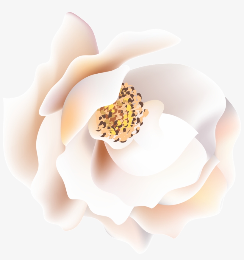 Is Yellow Black Flower Heart Transparent Decorative - Still Life Photography, transparent png