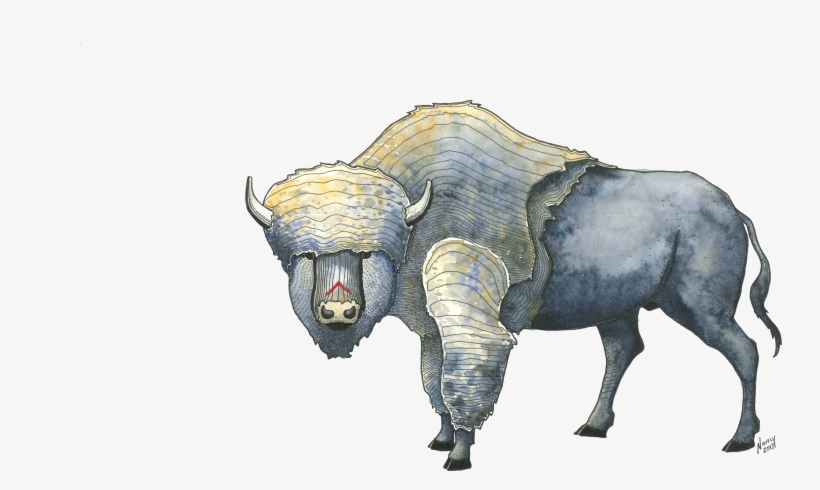 Bison, transparent png