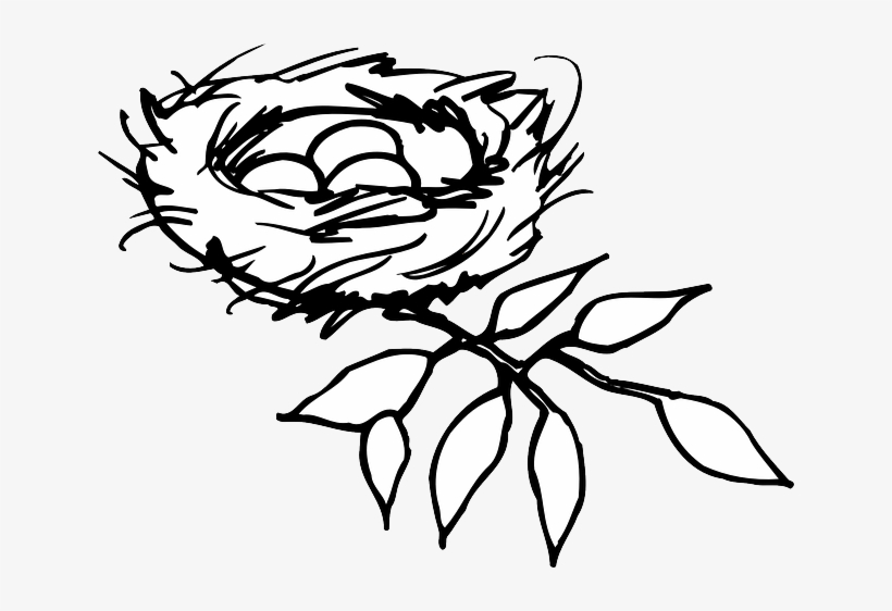 Nest, Eggs, Birds, Branch, Mystery, New, Life, Care - Nest Clipart Black And White, transparent png