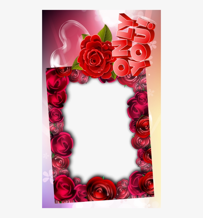 Hybrid Tea Rose, transparent png