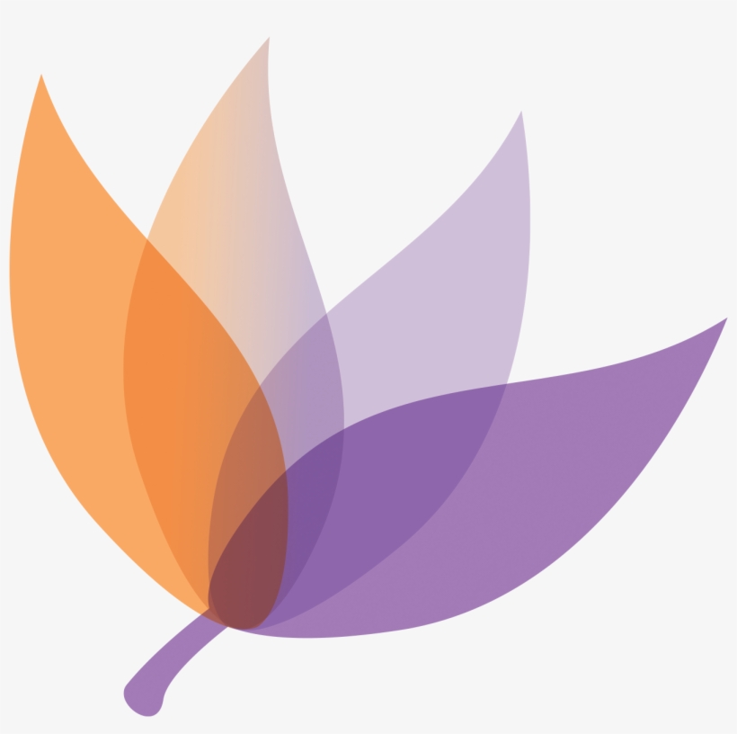Leaf Graphic - Graphic Design, transparent png
