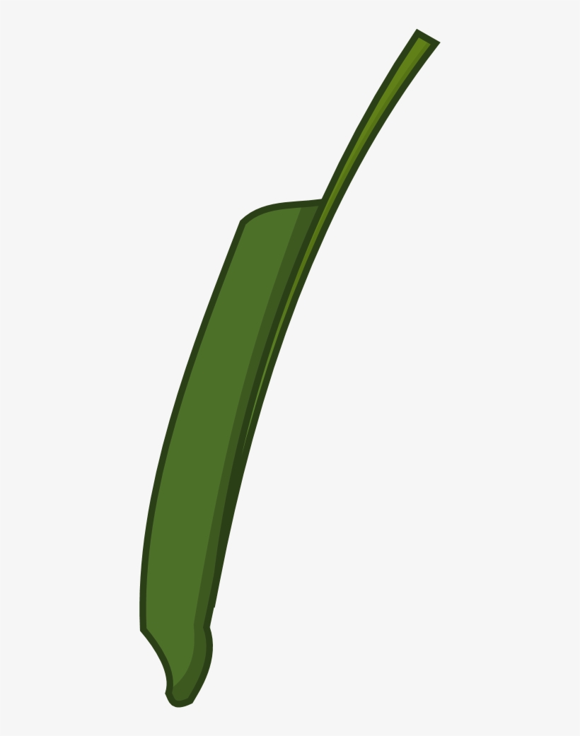 Crane Flower, transparent png