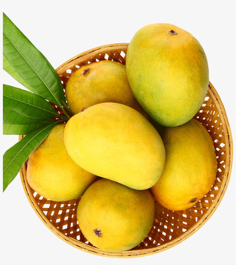 M - Ataulfo, transparent png