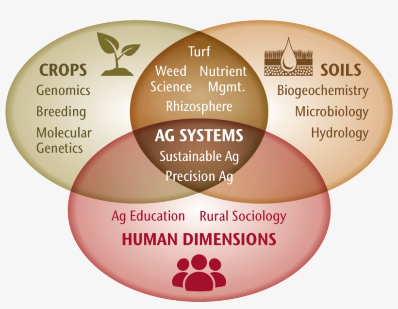 Crops - Face Powder, transparent png