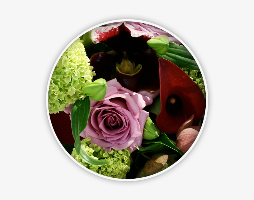 Flowers & Bouquets - Floribunda, transparent png