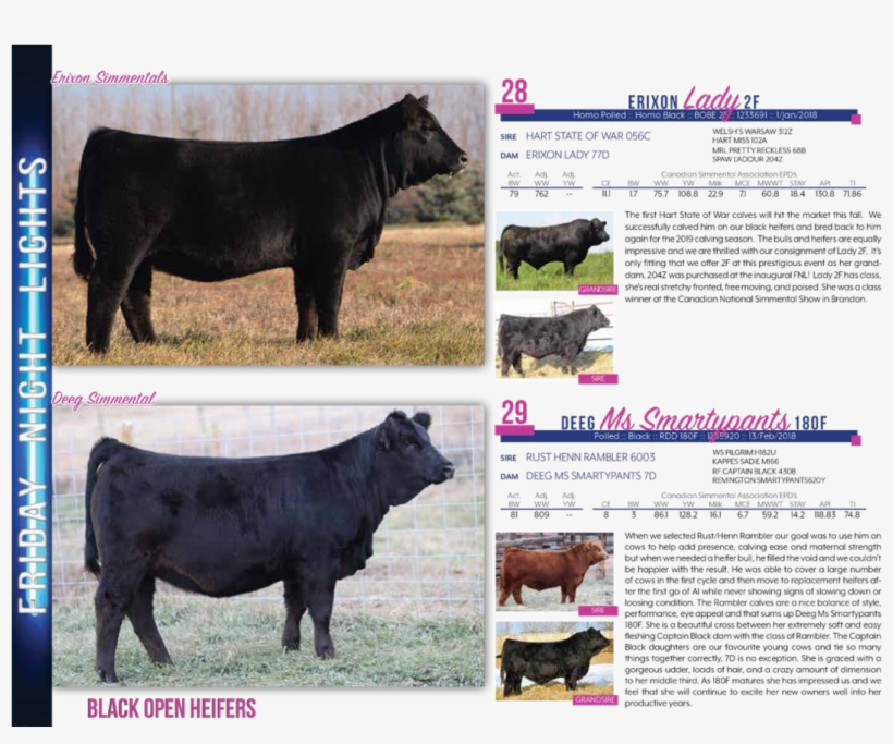 $10,000indian River Cattle Co - Dairy Cow, transparent png