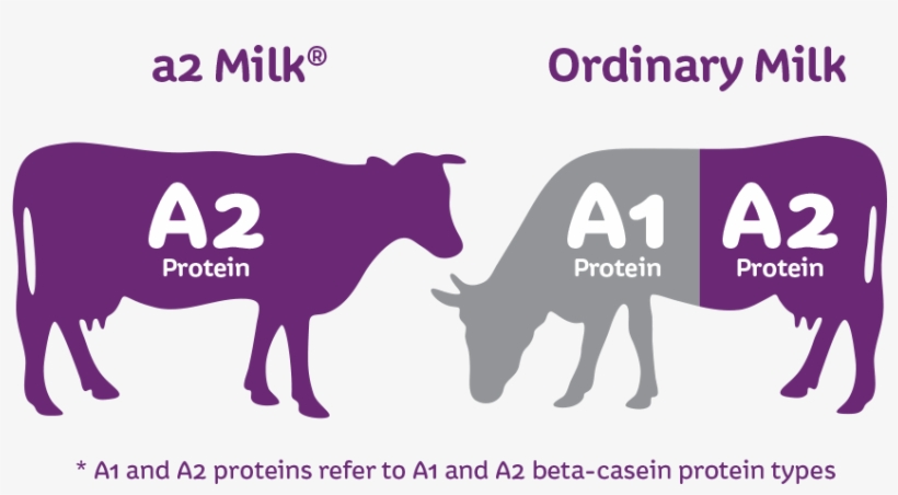 As Far As Charak Amurth Milk Is Concerned Both Regular - A1 And A2 Milk, transparent png