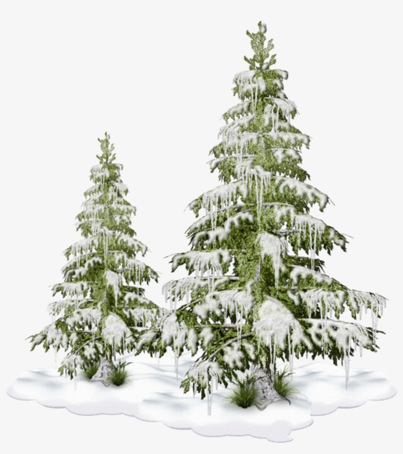 Freetoedit Nature Tree Christmastree Snow Winter - Tube Png Cluster Hiver, transparent png