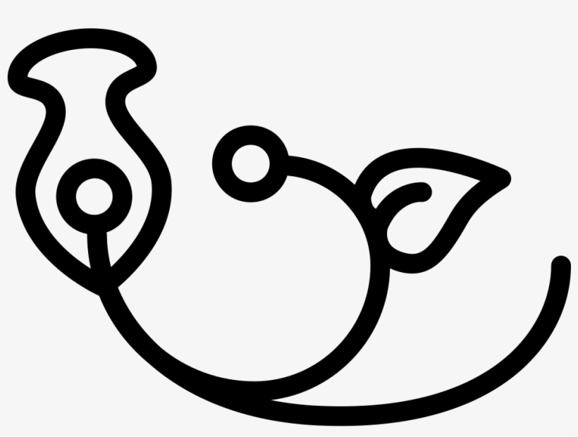 One Branch With One Flower One Seed And One Leaf Comments - Portable Network Graphics, transparent png