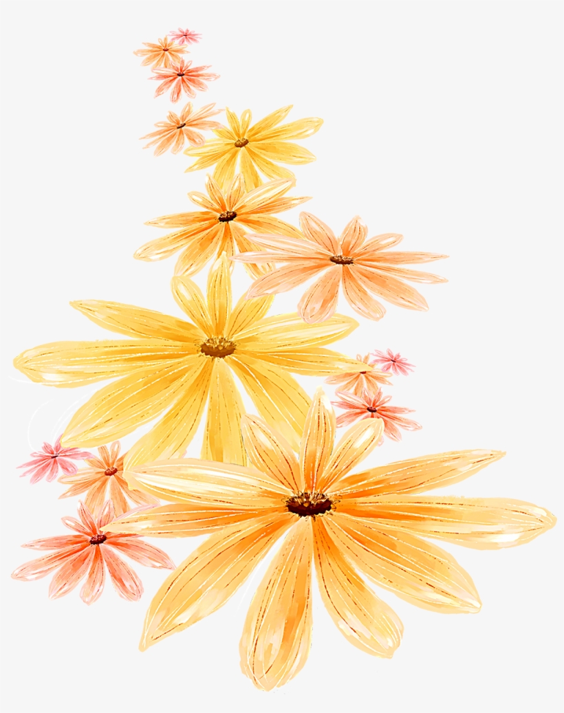 手绘菊花洋甘菊 - Still Life Photography, transparent png