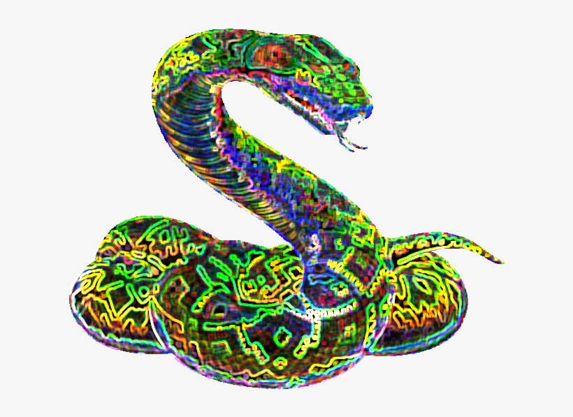 Night Star Snake - Night, transparent png