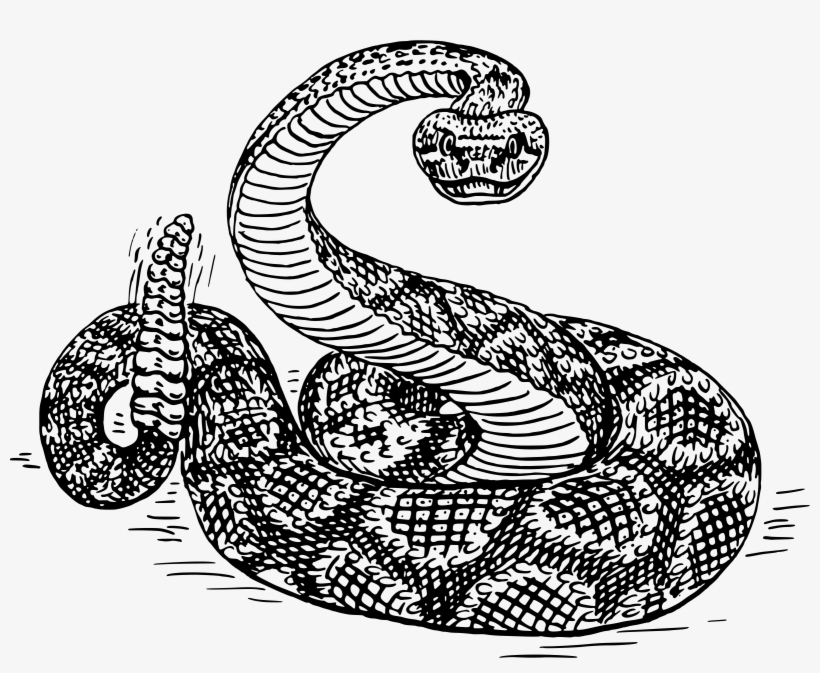 This Free Icons Png Design Of Rattlesnake 2, transparent png