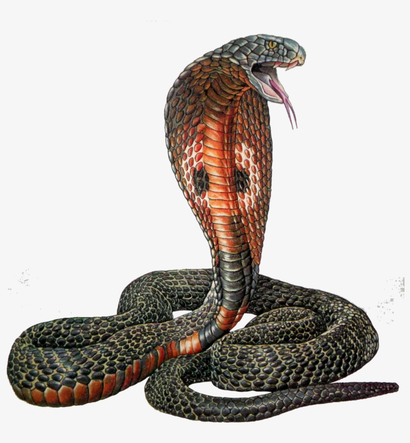 Cobra Vector Snake Plissken - Serpent Cobra, transparent png