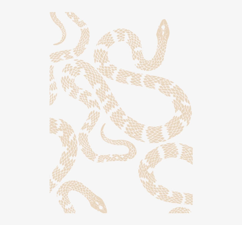 Motif, transparent png