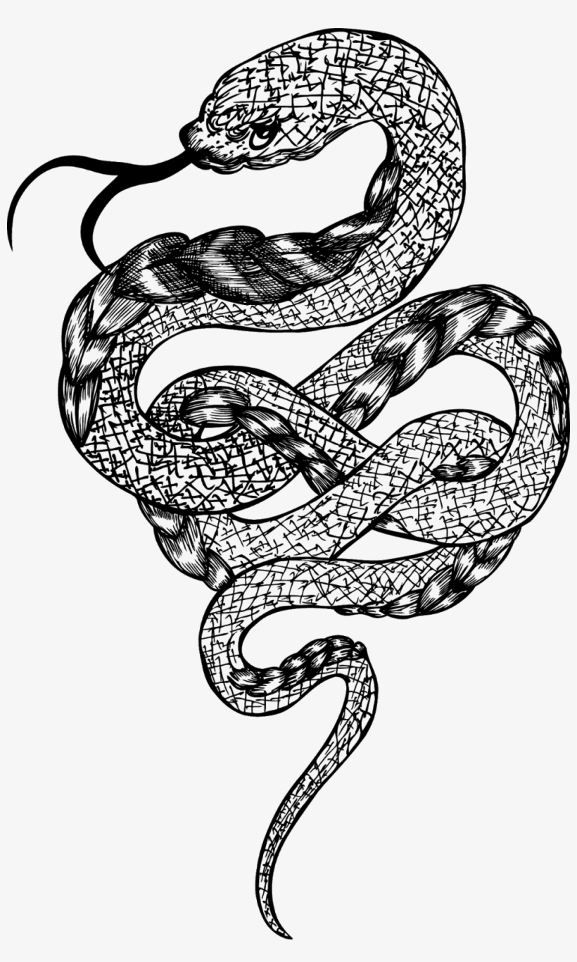 Rattlesnake Boa Constrictor - Snake Illustration Png, transparent png