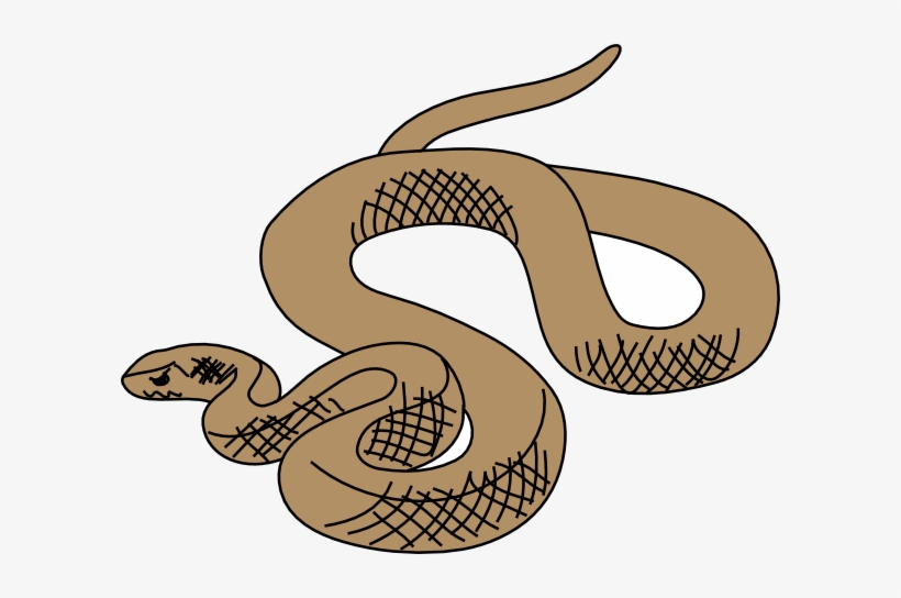 Red Rattlesnake Cliparts - Brown Snake Clipart, transparent png