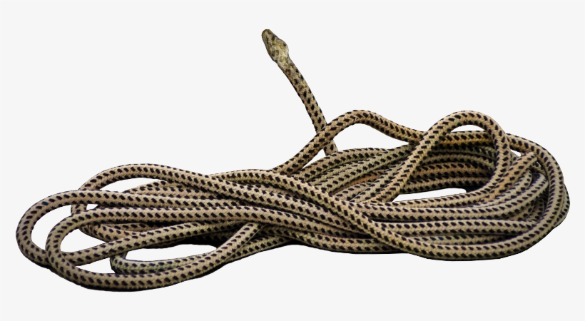 Actions - Wire, transparent png