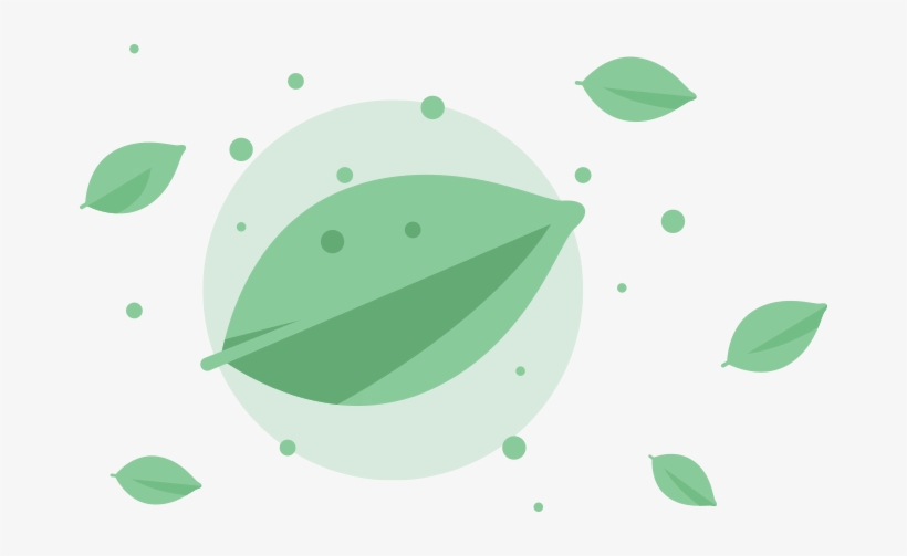 Matcha - Circle, transparent png