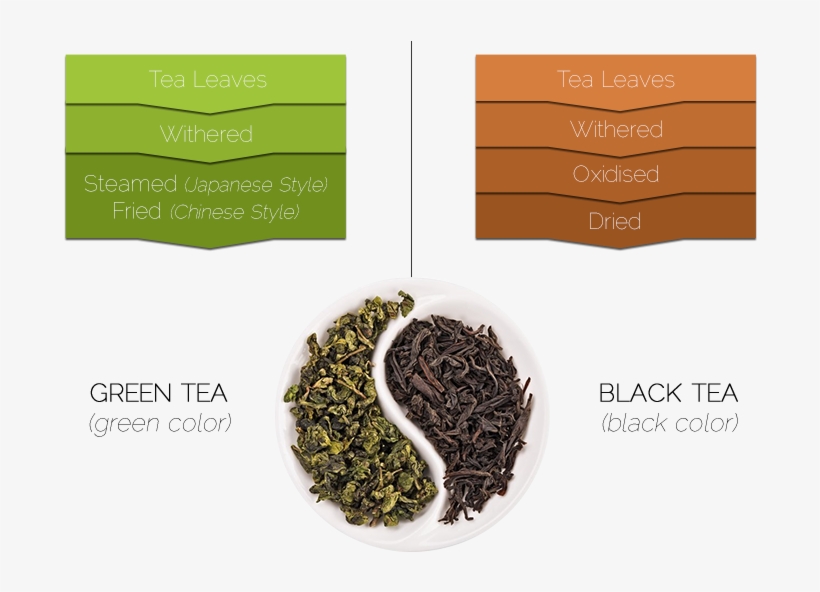 Why Green Tea Is Different - Use Henna For Hair Growth, transparent png