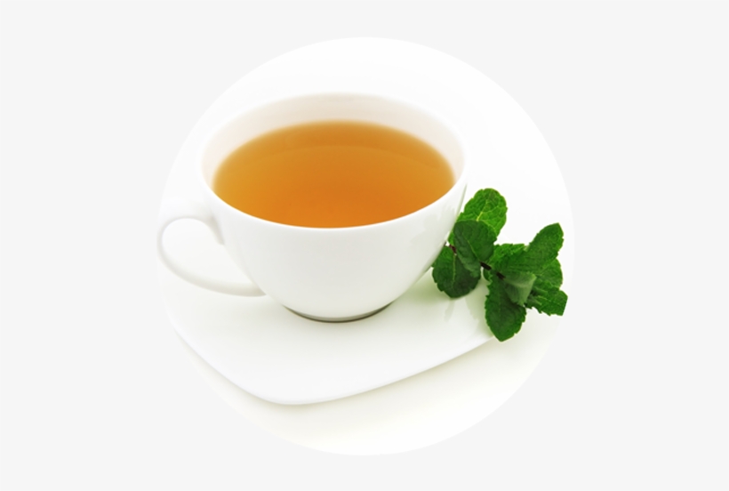 Green Tea Extract - Krierah Baby Dino Loose Leaf Tea Infuser, transparent png