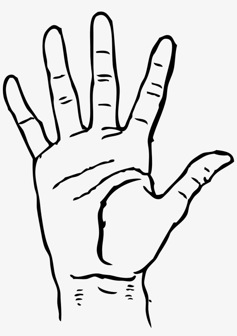 Hands Clip Art Free Clipart - Hand Clip Art, transparent png