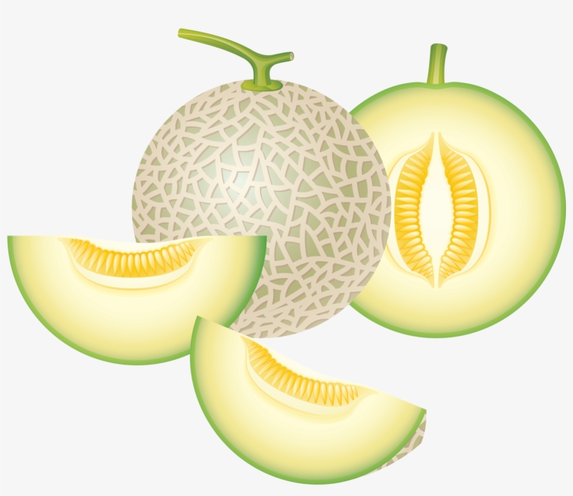 Яндекс - Фотки - Honeydew Melon Clipart, transparent png