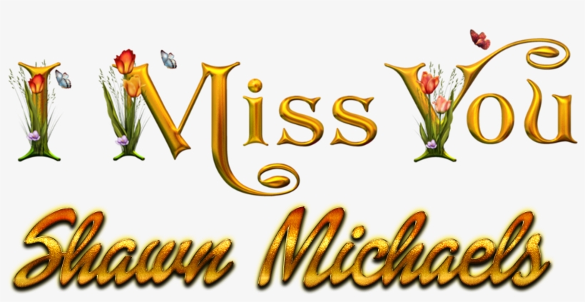 Shawn Michaels Missing You Name Png - Dekorjinal Harf Dekoratif Yastık Kılıfı - 40x40 Cm, transparent png