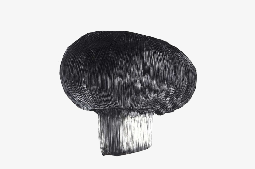 F49f867957719 - 562ba8fcbe62f - Russula Integra, transparent png